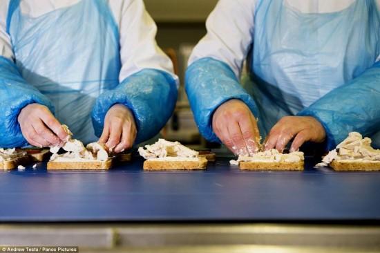 英最大三明治工厂 每周产量300万(高清组图)--贵州频道--人民网